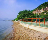榕树湾,绿意盎然的生态宜居胜地