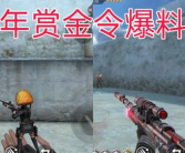 体验服武器最新爆料,体验服最新爆料揭示神秘武器性能与特色